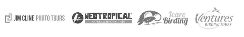 clients-logos-bw-Birding-1 clients-logos-bw-Birding-1