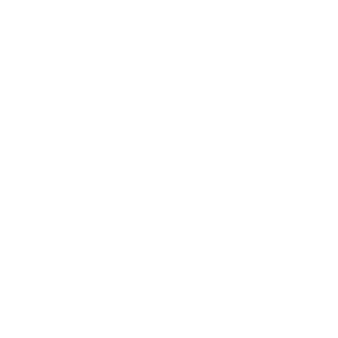 New-Icons-globe-white